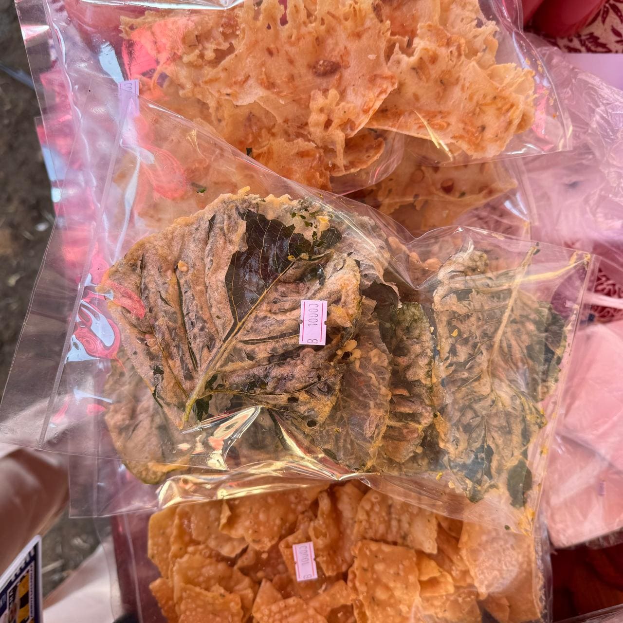 Agrohorti Sari Rasa